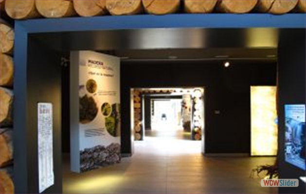 Casa-Madera_terranostrum.es_4