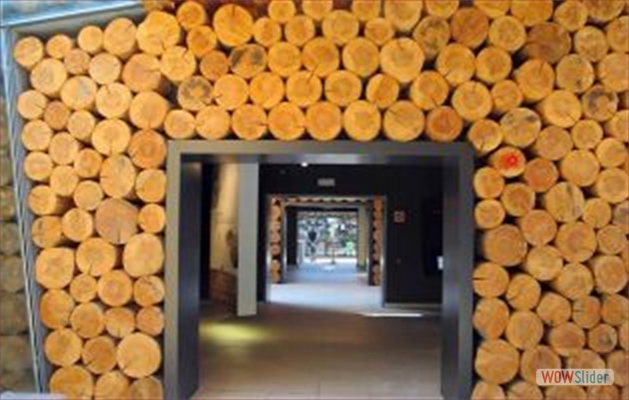 Casa-madera_terranostrum.es_6